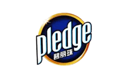 Pledge碧麗珠